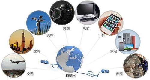 沈陽智能制造升級 信息處理物聯(lián)網(wǎng)卡及網(wǎng)絡工程服務迎來特價機遇